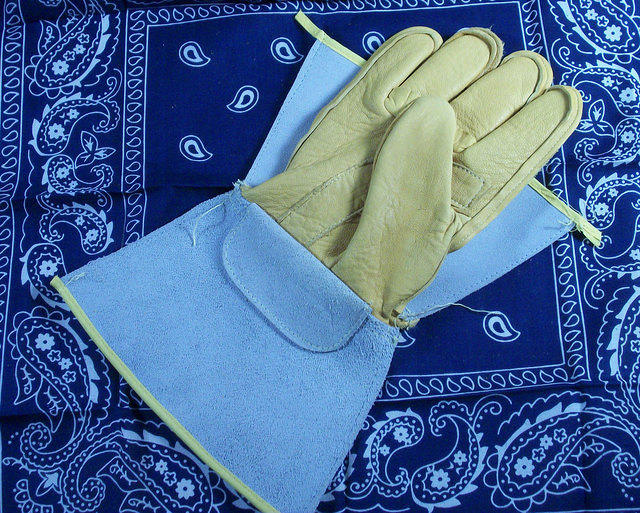 [Image: glove8.jpg?m=1344063420]